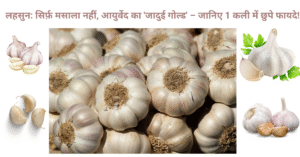 लहसुन के फायदे